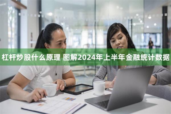 杠杆炒股什么原理 图解2024年上半年金融统计数据