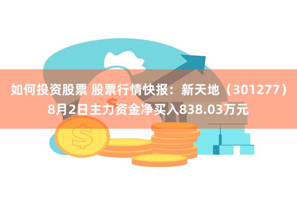 如何投资股票 股票行情快报：新天地（301277）8月2日主力资金净买入838.03万元