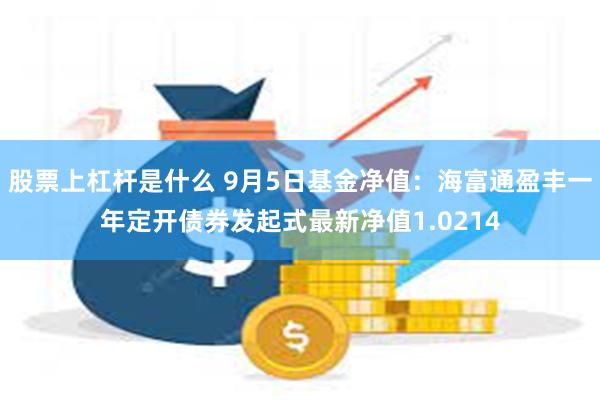 股票上杠杆是什么 9月5日基金净值：海富通盈丰一年定开债券发起式最新净值1.0214