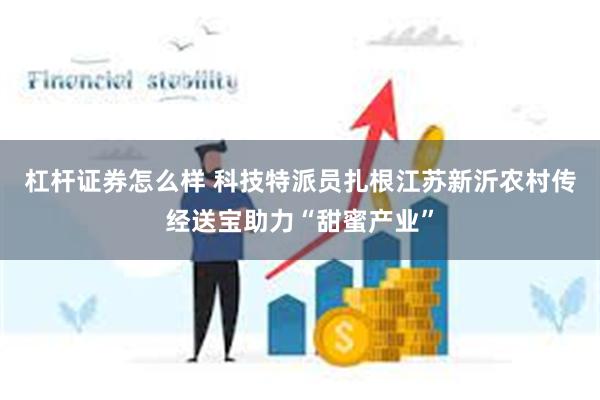 杠杆证券怎么样 科技特派员扎根江苏新沂农村传经送宝助力“甜蜜产业”