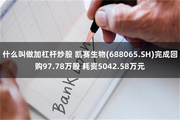 什么叫做加杠杆炒股 凯赛生物(688065.SH)完成回购97.78万股 耗资5042.58万元