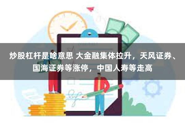 炒股杠杆是啥意思 大金融集体拉升，天风证券、国海证券等涨停，中国人寿等走高