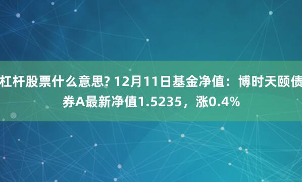 杠杆股票什么意思? 12月11日基金净值：博时天颐债券A最新净值1.5235，涨0.4%