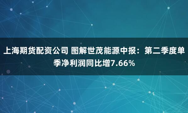 上海期货配资公司 图解世茂能源中报：第二季度单季净利润同比增7.66%