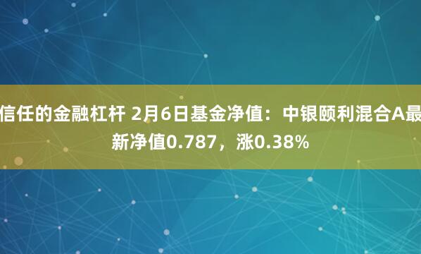 信任的金融杠杆 2月6日基金净值：中银颐利混合A最新净值0.787，涨0.38%